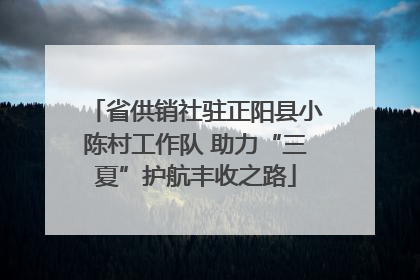 省供销社驻正阳县小陈村工作队 助力“三夏”护航丰收之路