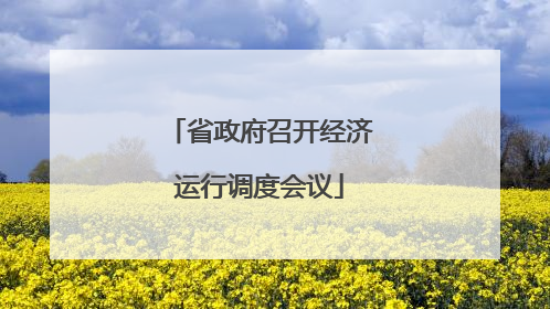 省政府召开经济运行调度会议