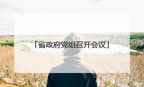 省政府党组召开会议