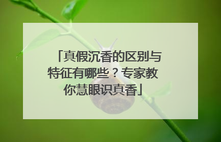 真假沉香的区别与特征有哪些？专家教你慧眼识真香