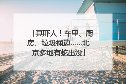 真吓人！车里、厨房、垃圾桶边……北京多地有蛇出没