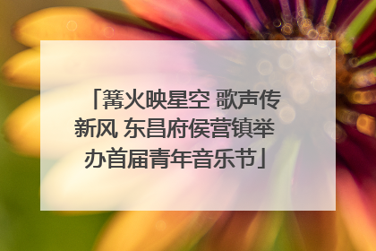 篝火映星空 歌声传新风 东昌府侯营镇举办首届青年音乐节