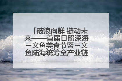 破浪向鲜 链动未来——首届日照深海三文鱼美食节暨三文鱼陆海统筹全产业链发展会议嘉宾访谈
