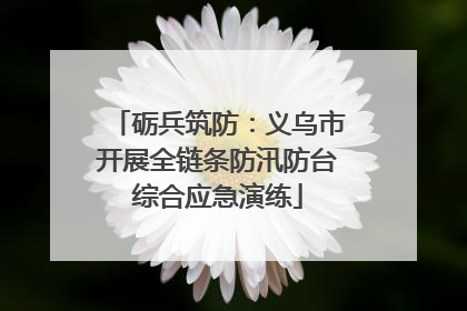 砺兵筑防：义乌市开展全链条防汛防台综合应急演练
