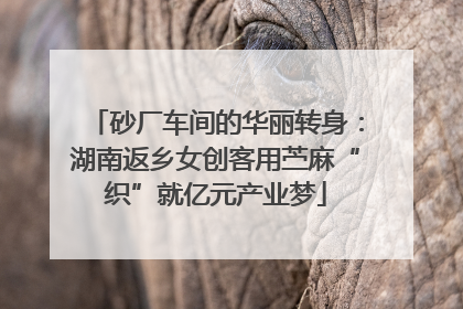 砂厂车间的华丽转身：湖南返乡女创客用苎麻“织”就亿元产业梦