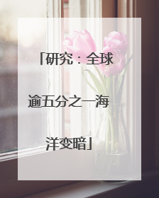 研究：全球逾五分之一海洋变暗