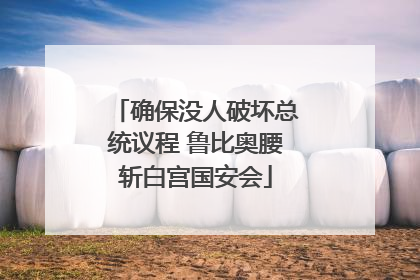 确保没人破坏总统议程 鲁比奥腰斩白宫国安会