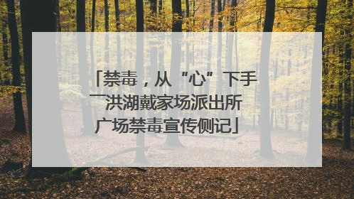 禁毒，从“心”下手――洪湖戴家场派出所广场禁毒宣传侧记