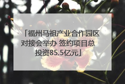 福州马祖产业合作园区对接会举办 签约项目总投资85.5亿元