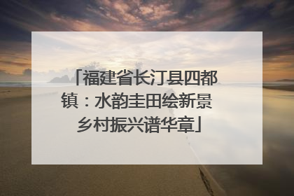 福建省长汀县四都镇：水韵圭田绘新景 乡村振兴谱华章