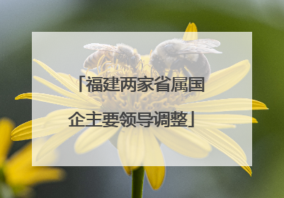 福建两家省属国企主要领导调整