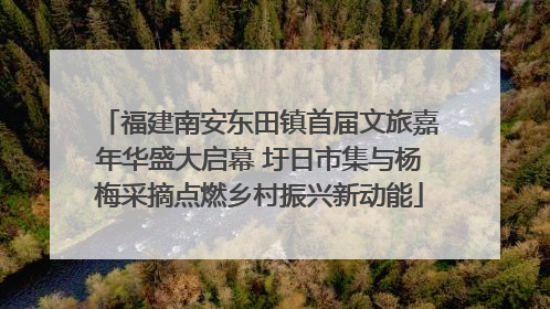 福建南安东田镇首届文旅嘉年华盛大启幕 圩日市集与杨梅采摘点燃乡村振兴新动能