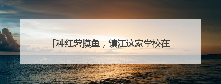 种红薯摸鱼，镇江这家学校在田间池畔见证学生快乐成长