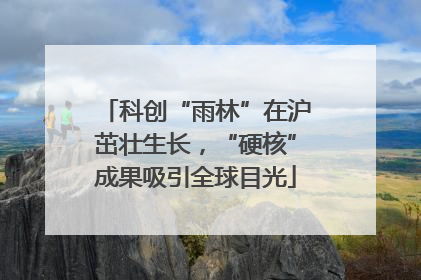 科创“雨林”在沪茁壮生长，“硬核”成果吸引全球目光