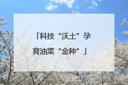 科技“沃土”孕育油菜“金种”