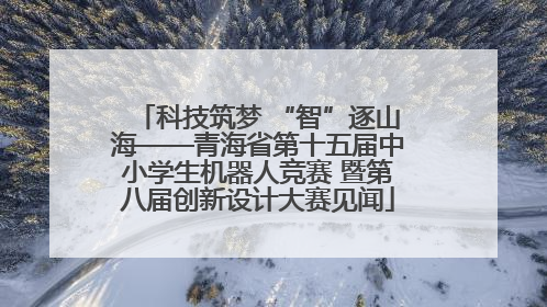 科技筑梦 “智”逐山海——青海省第十五届中小学生机器人竞赛 暨第八届创新设计大赛见闻