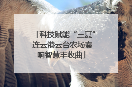 科技赋能“三夏” 连云港云台农场奏响智慧丰收曲