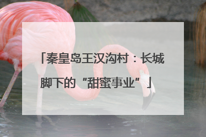 秦皇岛王汉沟村：长城脚下的“甜蜜事业”