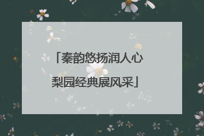 秦韵悠扬润人心 梨园经典展风采