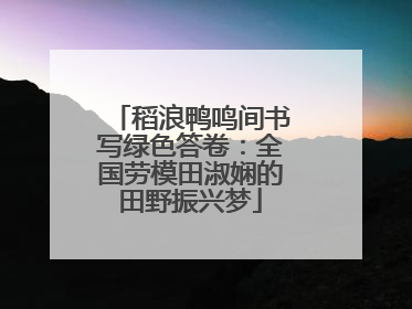 稻浪鸭鸣间书写绿色答卷：全国劳模田淑娴的田野振兴梦