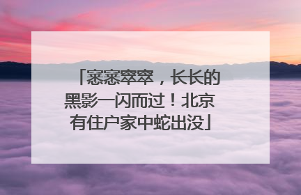 窸窸窣窣，长长的黑影一闪而过！北京有住户家中蛇出没