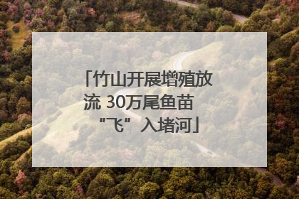 竹山开展增殖放流 30万尾鱼苗“飞”入堵河