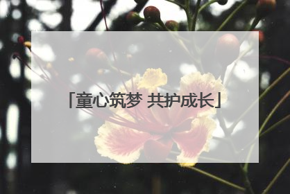 童心筑梦 共护成长