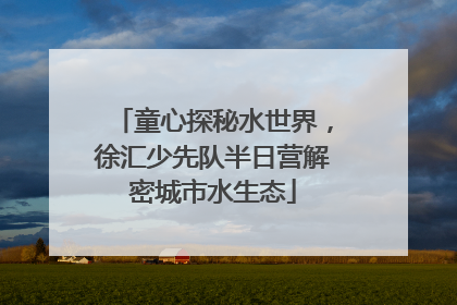 童心探秘水世界，徐汇少先队半日营解密城市水生态