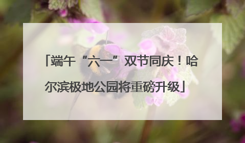 端午“六一”双节同庆！哈尔滨极地公园将重磅升级