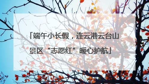 端午小长假，连云港云台山景区“志愿红”暖心护航