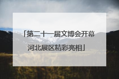 第二十一届文博会开幕 河北展区精彩亮相