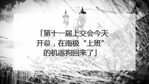 第十一届上交会今天开幕，在南极“上班”的机器狗回来了