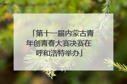 第十一届内蒙古青年创青春大赛决赛在呼和浩特举办