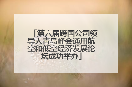 第六届跨国公司领导人青岛峰会通用航空和低空经济发展论坛成功举办