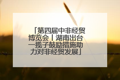 第四届中非经贸博览会丨湖南出台一揽子鼓励措施助力对非经贸发展
