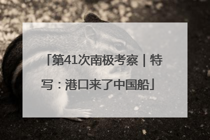 第41次南极考察｜特写：港口来了中国船