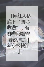 网红大桥底下“圈地收费”，有哪些问题需要说清楚｜新京报快评