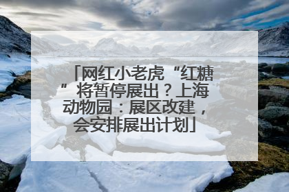 网红小老虎“红糖”将暂停展出？上海动物园：展区改建，会安排展出计划