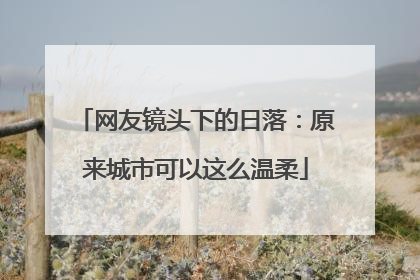 网友镜头下的日落：原来城市可以这么温柔
