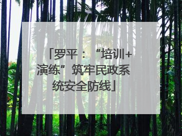 罗平：“培训+演练”筑牢民政系统安全防线