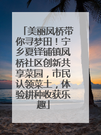 美丽凤桥带你寻梦田！宁乡夏铎铺镇凤桥社区创新共享菜园，市民认领菜土，体验耕种收获乐趣
