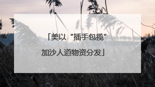 美以“插手包揽”加沙人道物资分发