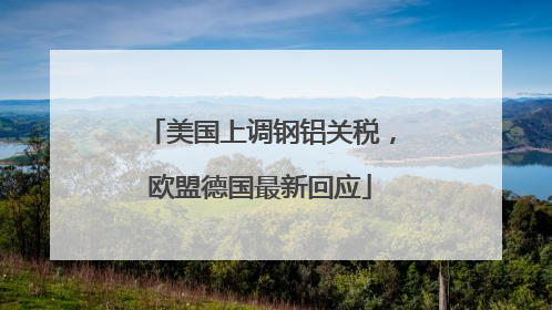 美国上调钢铝关税，欧盟德国最新回应