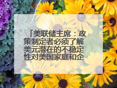 美联储主席：政策制定者必须了解美元潜在的不稳定性对美国家庭和企业的影响
