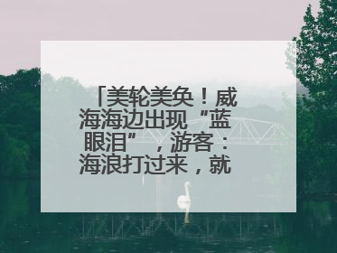 美轮美奂！威海海边出现“蓝眼泪”，游客：海浪打过来，就像星河一样