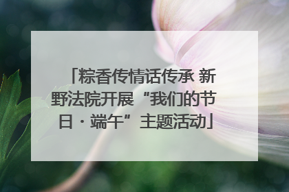粽香传情话传承 新野法院开展“我们的节日・端午”主题活动