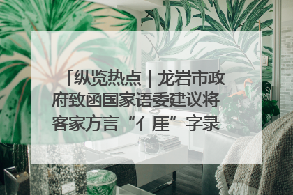 纵览热点｜龙岩市政府致函国家语委建议将客家方言“亻厓”字录入《新华字典》引发热议，当地回应