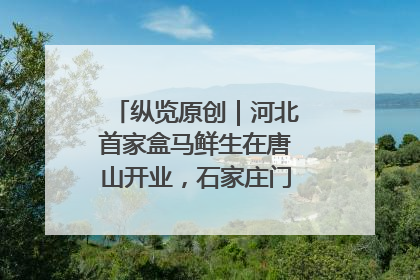 纵览原创｜河北首家盒马鲜生在唐山开业，石家庄门店预计8月开业