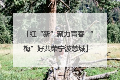 红“新”聚力青春 “梅”好共荣宁波慈城