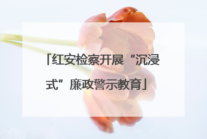 红安检察开展“沉浸式”廉政警示教育